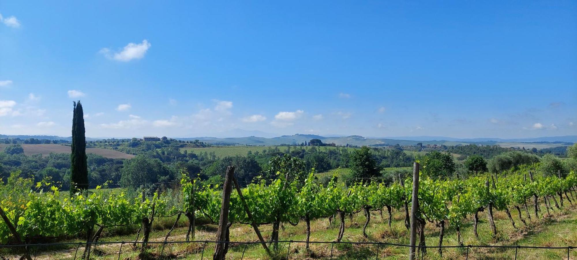 Chianti - Lovely Cottage With Parking & Garden! Castelnuovo Berardenga Eksteriør bilde